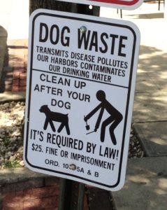 dog waist sign