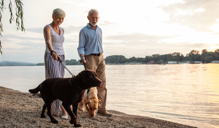 Shot of a happy senior couple walking with their dogs by the river.